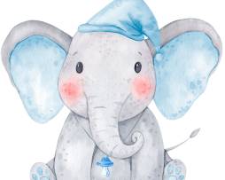 Best free Baby Elephant Watercolor Clip Art