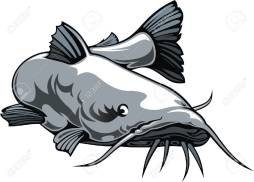 Amazing Big Catfish Clipart, Flathead Catfish image