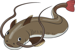 Best free Clip Art Catfish Transparent Background