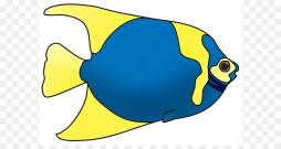 Blue Diamond Fish Clipart Black and White