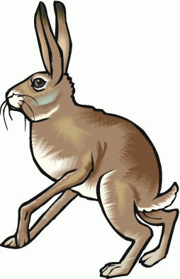 Cool Free Clipart Rabbit image Gif