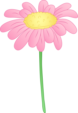 Super Free Pink Daisy Clipart 4k, 5k image