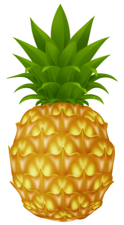 Free Amazing Pineapples Clipart 4k