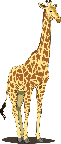 Animal, Giraffe, 4k, image, Free,Yellow, Brown, Clipart