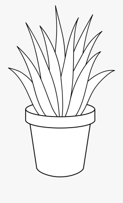 Ageve Plants Png Black and White Clipart