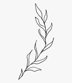 Awesome Clipart Plants Black and White Transparent Png