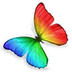 Rainbow insect Clipart Butterfly Transparent Background