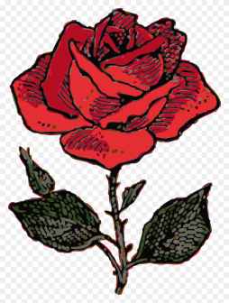 Free Rose Clipart Black and Red