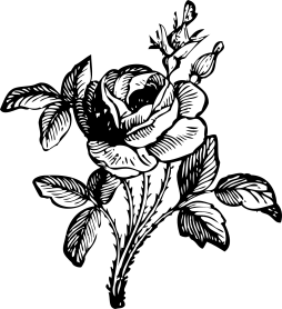 Art Rose Png Black and White Transparent Background