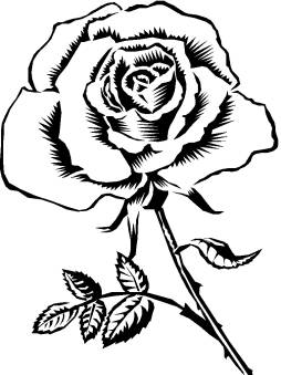 Rose Silhouette Clipart Black and White