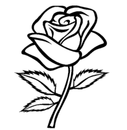 Teansparent Rose Cute Clipart Black and White