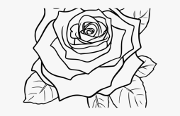 Rose Beautiful Clipart Black and White
